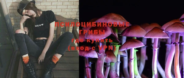 гашик Балабаново